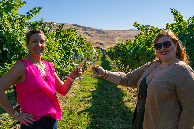 wine tasting in a vineyard